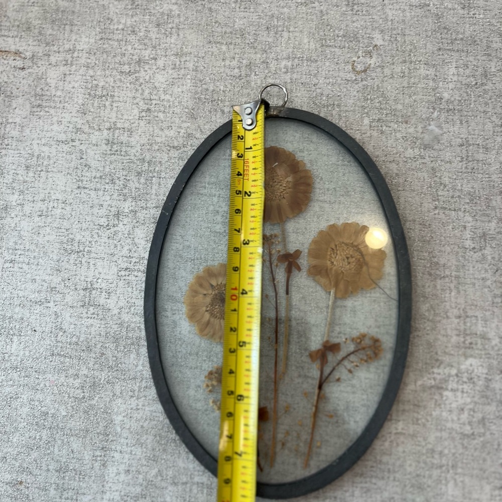 Oval Pressed Flower Wall Art - Picture 4 of 5